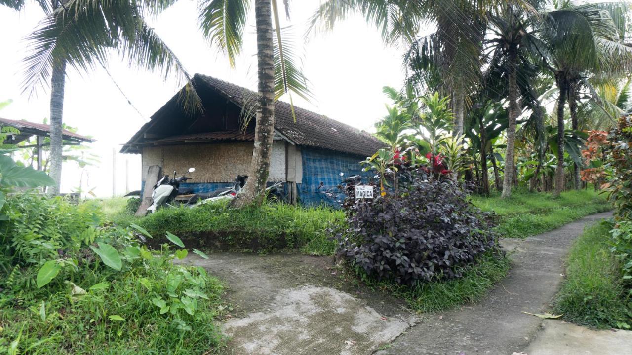Villa Magica Ubud Exterior foto